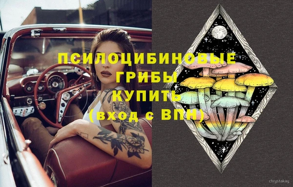 дурь Алзамай