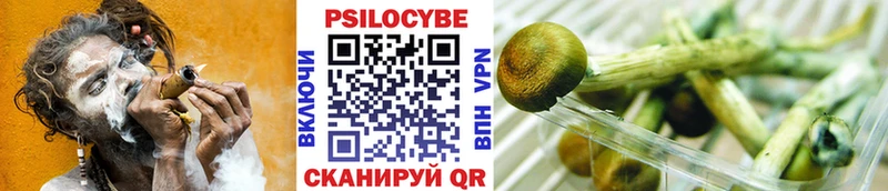 Псилоцибиновые грибы Psilocybe  Чердынь 